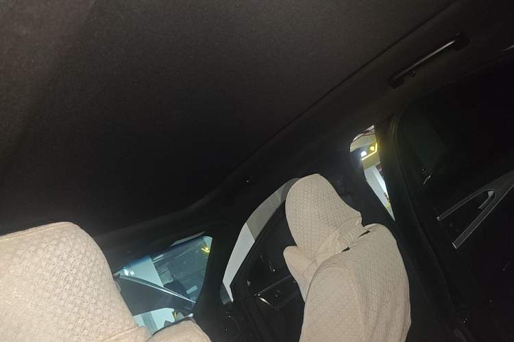 Used Lincoln MKX 2015 2.0T Four-Wheel Drive Luxury Edition Headliner