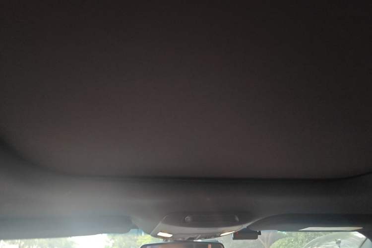 Used Lincoln MKX 2015 2.7T Four-Wheel Drive Prestige Edition Headliner