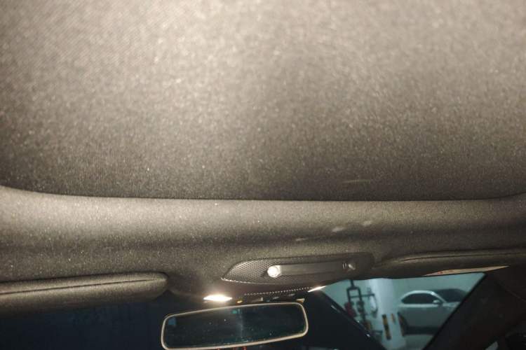 Used Lincoln MKX 2015 2.7T Four-Wheel Drive Prestige Edition Headliner