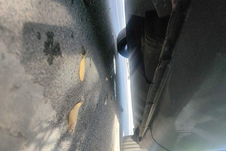 Used Lincoln MKX 2015 2.0T Two-Wheel Drive Deluxe Edition Right Side Sill