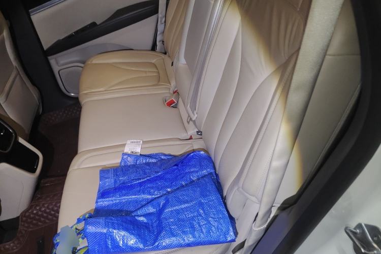 Used Lincoln MKX 2015 2.0T Two-Wheel Drive Deluxe Edition Left Rear Seat