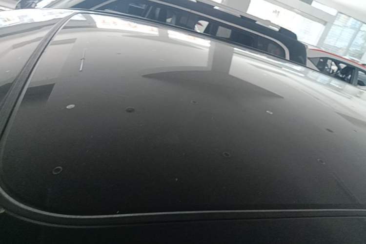 Used Lincoln MKX 2016 2.7T Reserve U.S.-Spec Version Roof