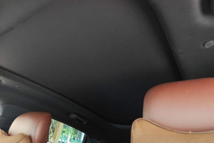 Used Lincoln MKX 2017 2.7T Four-Wheel Drive Prestige Edition Headliner