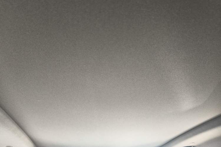 Used Lincoln MKX 2017 2.7T Four-Wheel Drive Prestige Edition Headliner