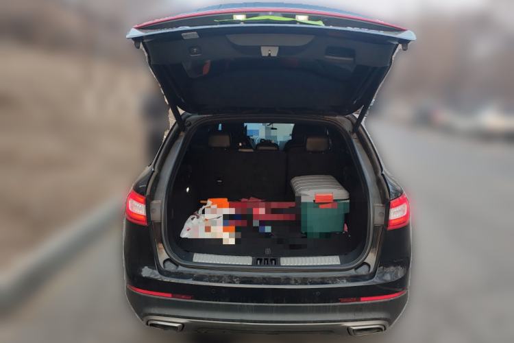 Used Lincoln MKX 2018 2.7T Four-Wheel Drive Prestige Edition Trunk