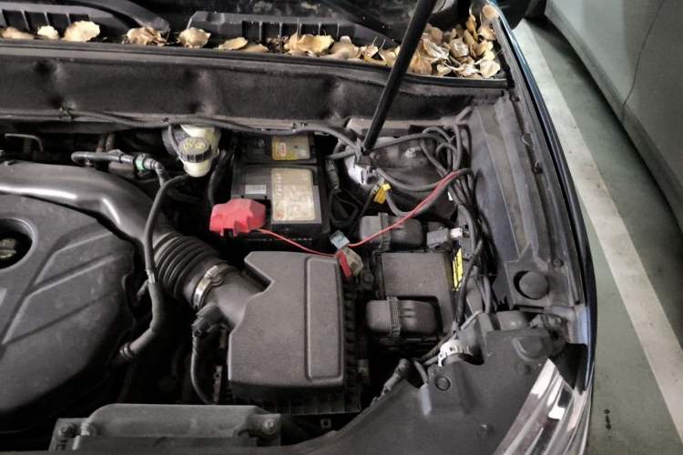 Used Lincoln MKX 2018 2.0T Two-Wheel Drive Deluxe Edition Engine Bay Left