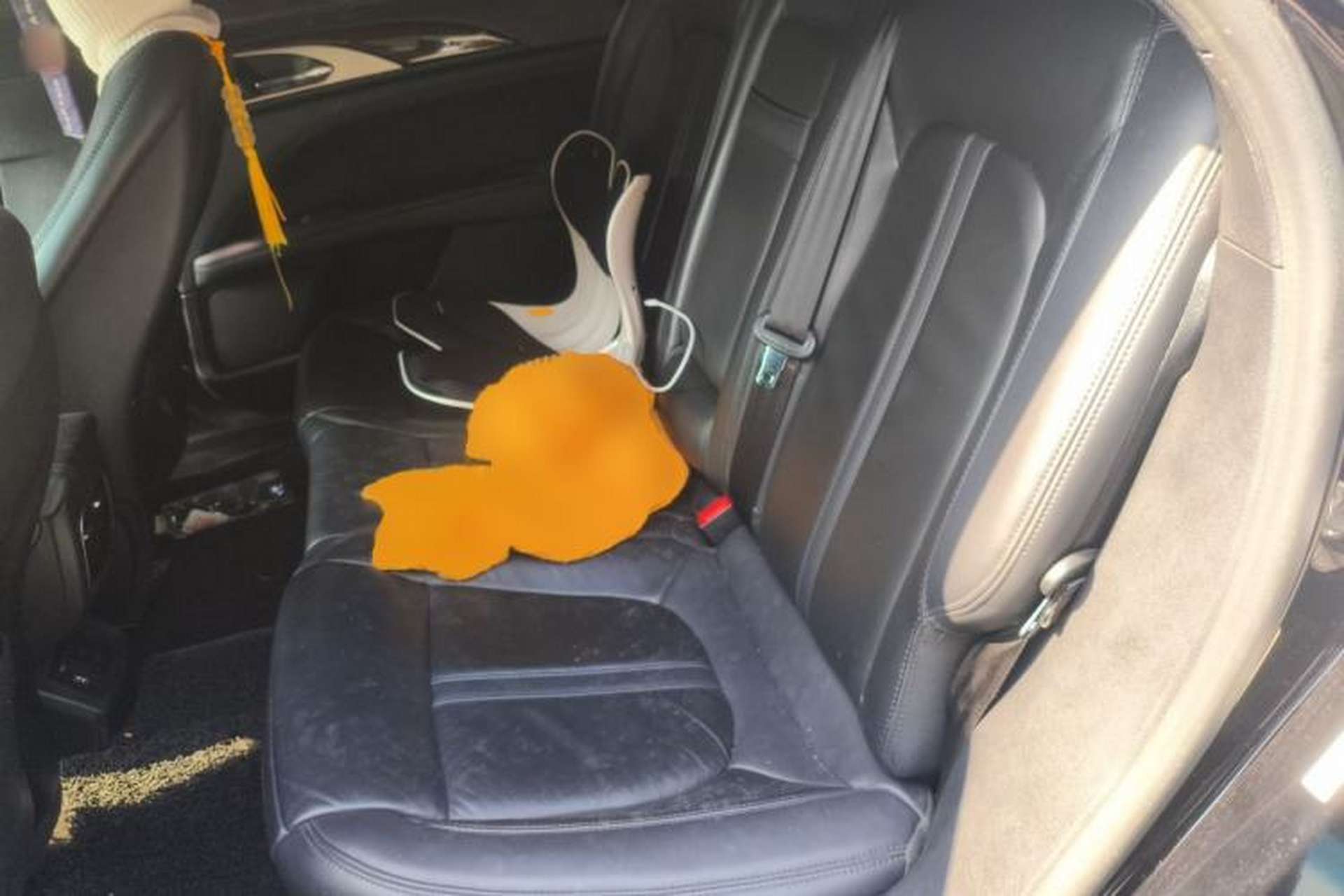 Used Lincoln MKZ 2018 2.0T Premium Edition Left Rear Seat