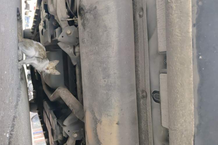 Used Lincoln MKZ 2018 2.0T Premium Edition Chassis Rear
