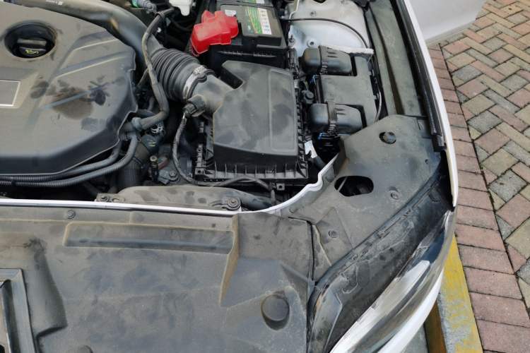 Used Lincoln MKZ 2018 2.0T Premium Edition Engine Bay Left