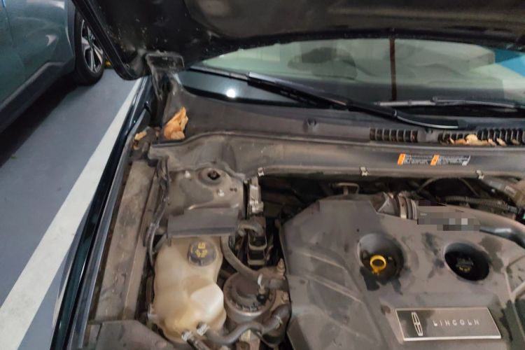 Used Lincoln MKZ 2019 2.0T Luxury Edition China VI Engine Bay Right