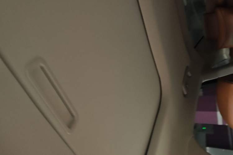 Used Lincoln MKZ 2019 2.0T Luxury Edition China VI Headliner