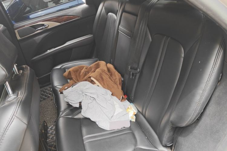 Used Lincoln MKZ 2019 2.0T Luxury Edition China VI Left Rear Seat
