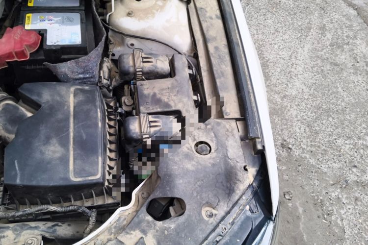 Used Lincoln MKZ 2020 2.0T Prestige Edition Engine Bay Left