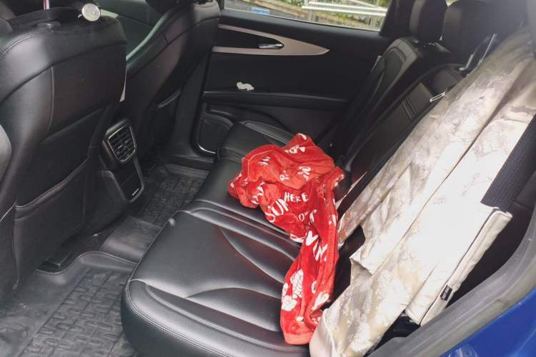 Used Lincoln Nautilus 2019 2.0T Two-Wheel Drive Zunyue Version China VI Standard Left Rear Seat