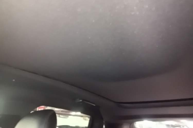 Used Lincoln Nautilus 2019 2.0T Two-Wheel Drive Luxury Edition China VI Standard Headliner