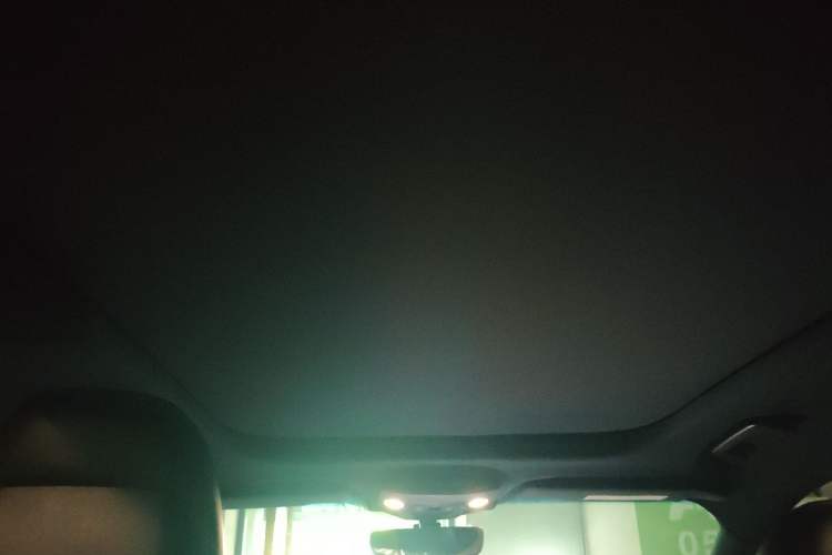 Used Lincoln Nautilus 2019 2.0T Four-Wheel Drive Zunya Edition China VI Standard Headliner