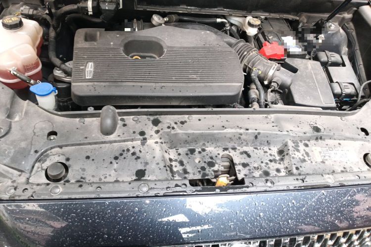 Used Lincoln Nautilus 2021 2.0T Four-Wheel Drive Luxury Edition Engine Bay