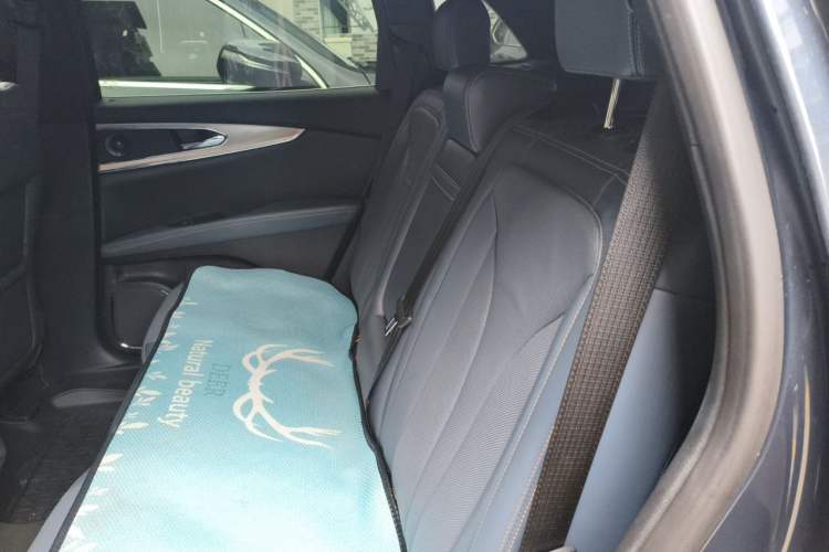 Used Lincoln Nautilus 2021 2.0T Four-Wheel Drive Luxury Edition Left Rear Seat