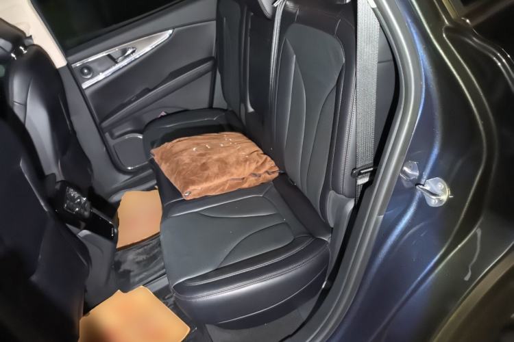 Used Lincoln Nautilus 2021 2.0T Four-Wheel Drive Luxury Edition Left Rear Seat