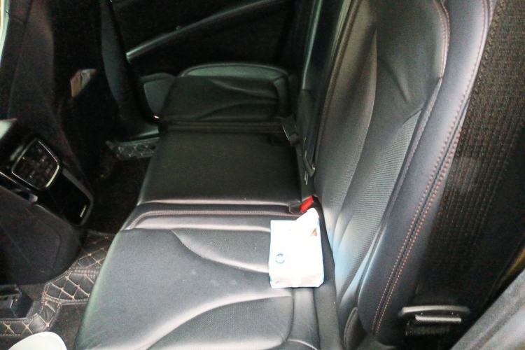Used Lincoln Nautilus 2021 2.0T Four-Wheel Drive Luxury Edition Left Rear Seat