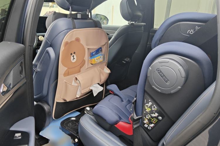 Used Lincoln Nautilus 2021 2.0T Four-Wheel Drive Luxury Edition Left Rear Seat
