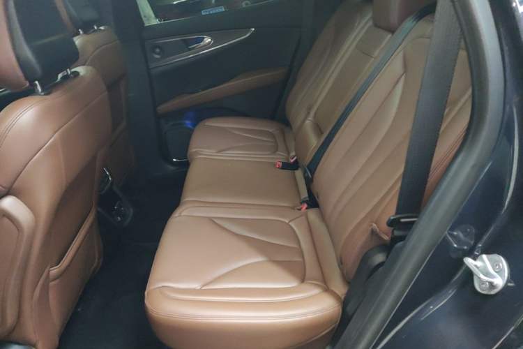 Used Lincoln Nautilus 2021 2.0T Four-Wheel Drive Luxury Edition Left Rear Seat