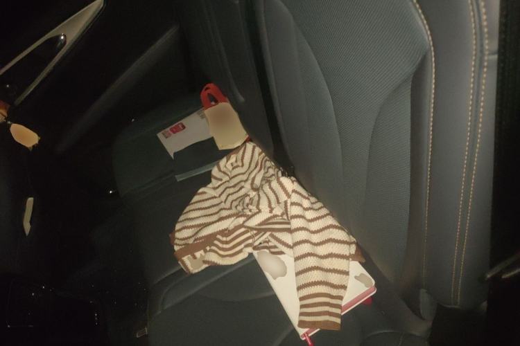Used Lincoln Nautilus 2021 2.0T Four-Wheel Drive Luxury Edition Left Rear Seat
