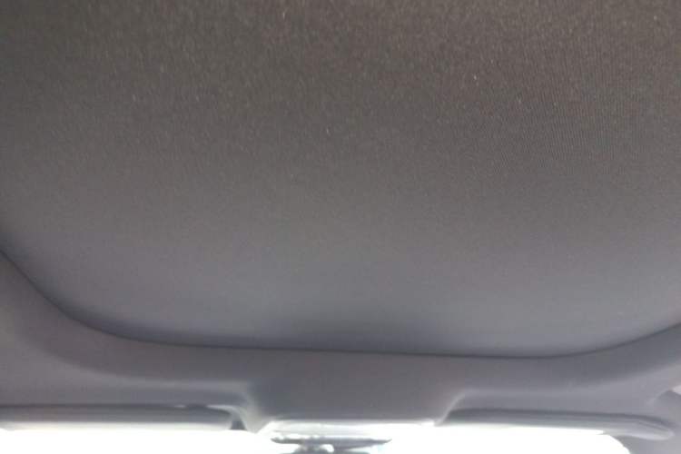 Used Lincoln Nautilus 2021 2.7T Four-Wheel Drive Prestige Edition Headliner