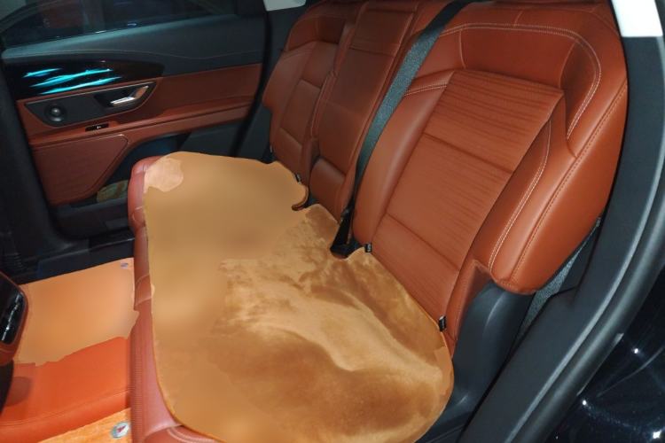Used Lincoln Nautilus 2023 2.0T Four-Wheel Drive Zunrui Version Left Rear Seat