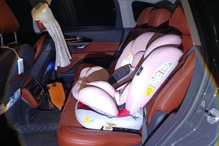 Used Lincoln Nautilus 2023 2.0T Four-Wheel Drive Zunrui Version Left Rear Seat