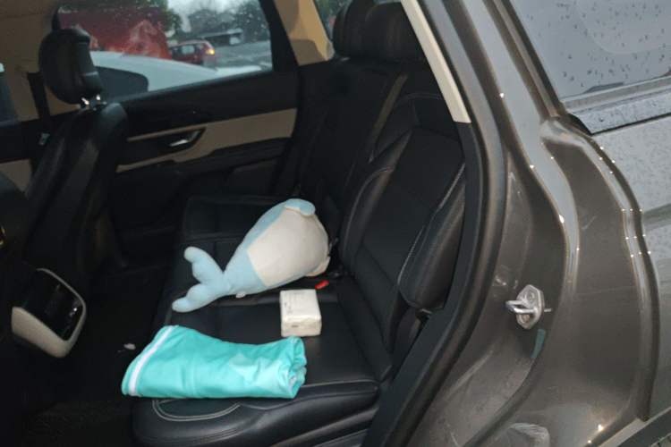 Used Lincoln Nautilus 2023 2.0T Four-Wheel Drive Luxury Edition Left Rear Seat