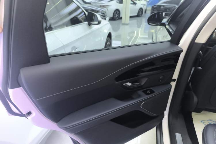Used Lincoln Nautilus 2023 2.0T Four-Wheel Drive Zunrui Version Left Rear Door Interior