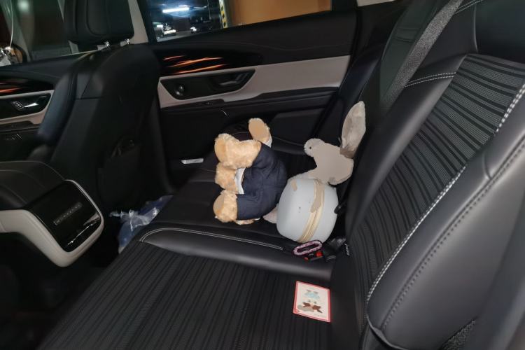 Used Lincoln Nautilus 2023 2.0T Four-Wheel Drive Zunrui Version Left Rear Seat
