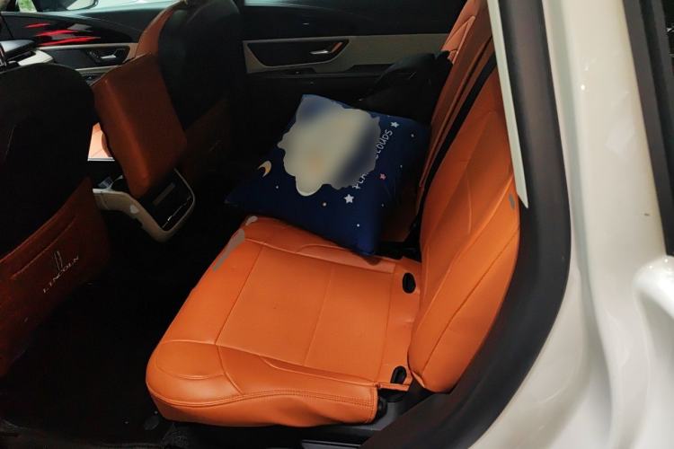 Used Lincoln Nautilus 2023 2.0T Four-Wheel Drive Luxury Edition Left Rear Seat