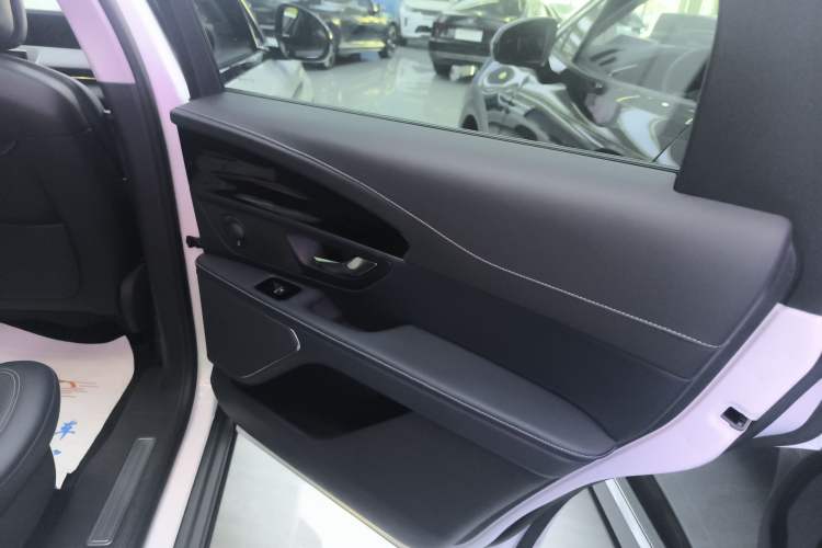 Used Lincoln Nautilus 2023 2.0T Four-Wheel Drive Zunrui Version Right Rear Door Interior
