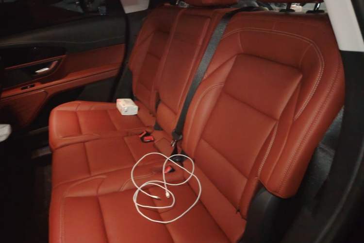 Used Lincoln Nautilus 2025 Model, Facelifted 2.0T Four-Wheel-Drive Zunyi Hybrid Version Left Rear Seat