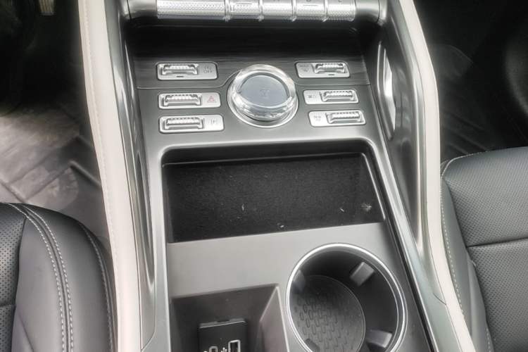 Used Lincoln Nautilus 2025 2.0T Four-Wheel Drive Luxury Edition Gear Lever