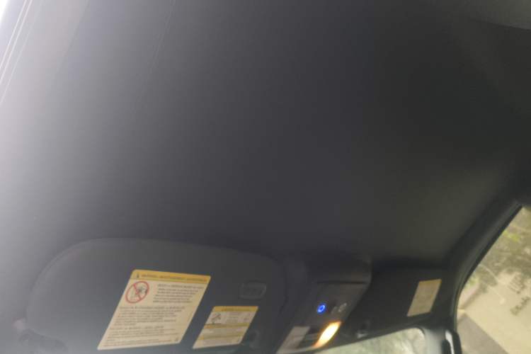 Used Lincoln Navigator 2010 5.4L AWD Headliner