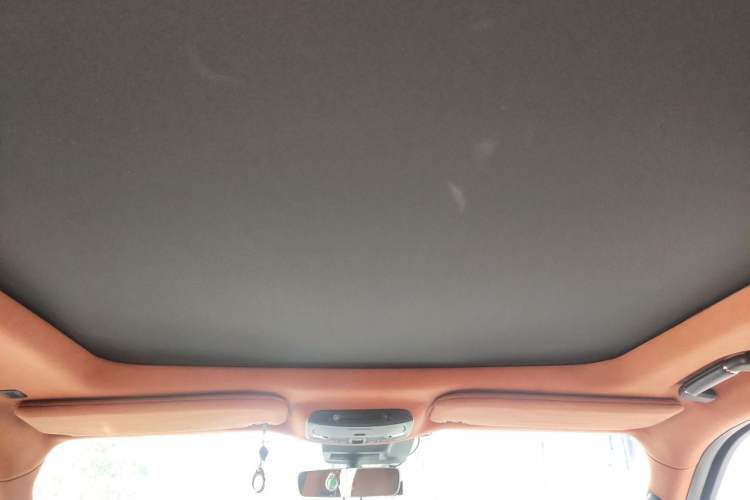 Used Lincoln Navigator 2019 3.5T Prestige Version China VI Standard Headliner