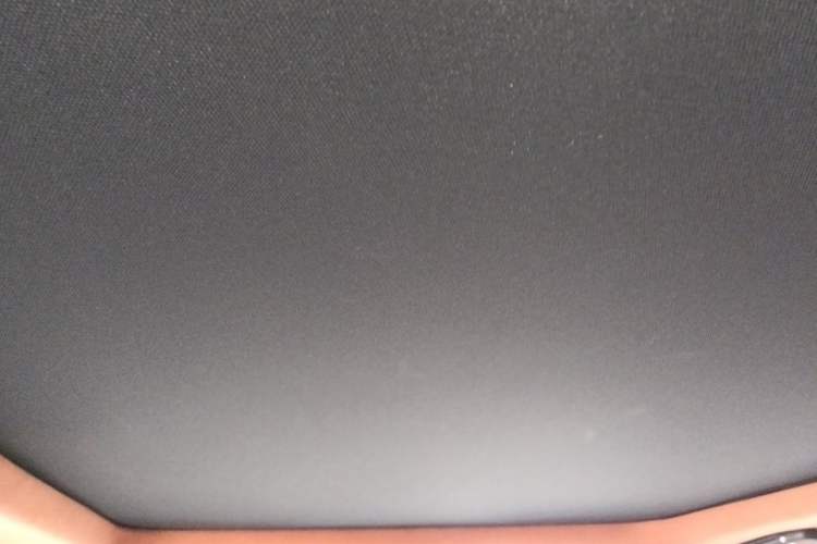 Used Lincoln Navigator 2019 3.5T Prestige Version China VI Standard Headliner