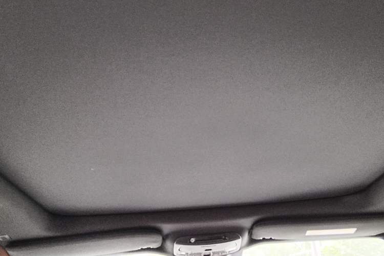 Used Lincoln Navigator 2019 3.5T Prestige Version China VI Standard Headliner