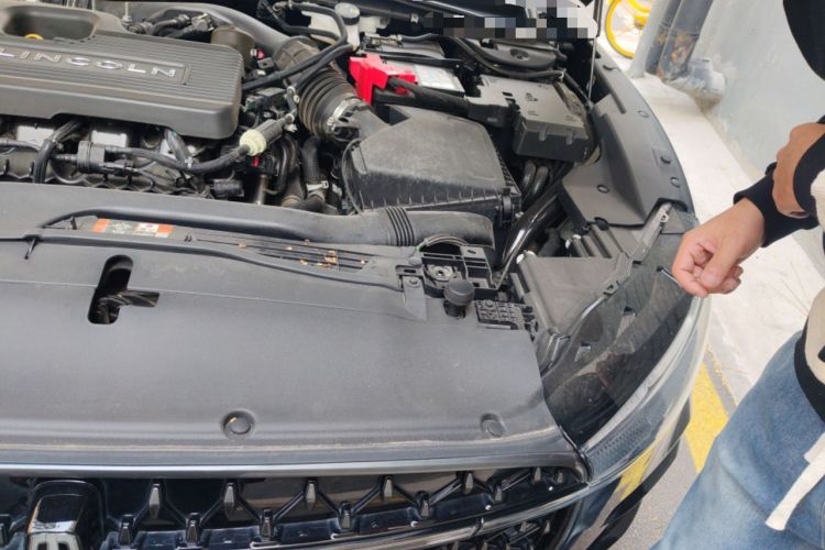 Used Lincoln Z 2022 iCool Luxury Edition Engine Bay Left