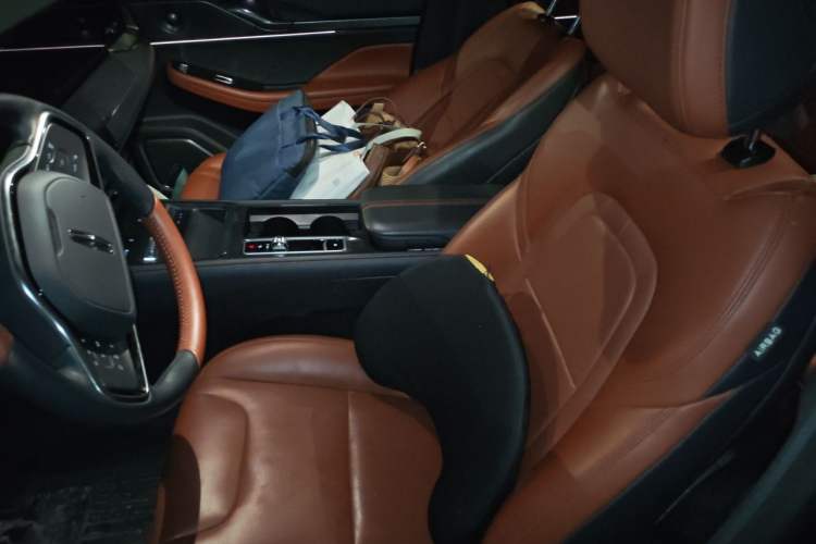 Used Lincoln Z 2022 iCool Luxury Edition Left Front Seat