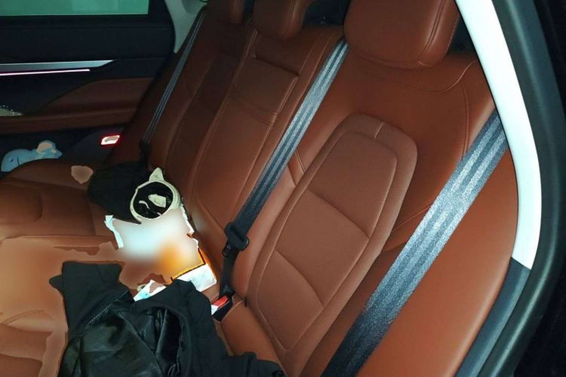 Used Lincoln Z 2022 iXiang Deluxe Edition Left Rear Seat