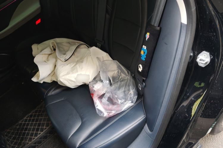 Used Lincoln Z 2022 iCool Luxury Edition Left Rear Seat