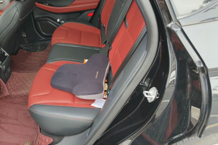 Used Lincoln Z 2022 iKoo Luxury Edition Left Rear Seat