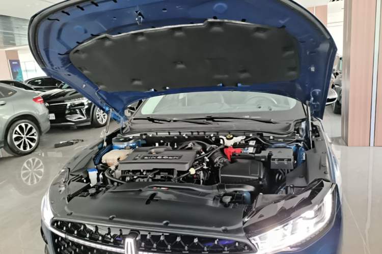 Used Lincoln Z 2022 iKoo Luxury Edition Engine Bay