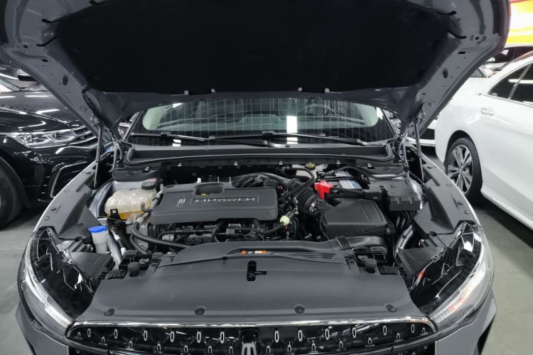 Used Lincoln Z 2022 iEnjoy Luxury Edition Engine Bay