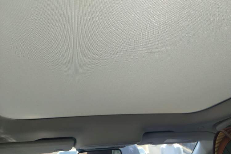 Used Lincoln Z 2022 Facelift iEnjoy Deluxe Edition Headliner