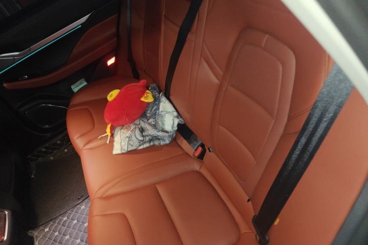 Used Lincoln Z 2022 iXiang Deluxe Edition Left Rear Seat